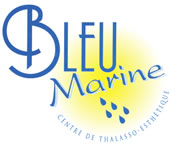 Logo original de Centre Bleu Marine
